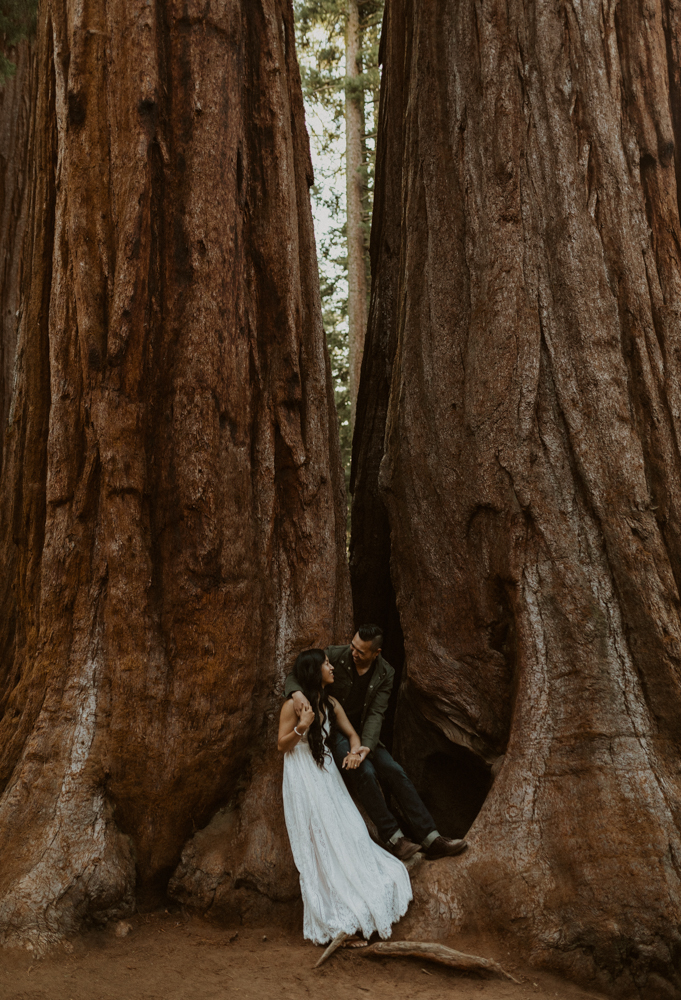 Sequoia National Park engagement photos