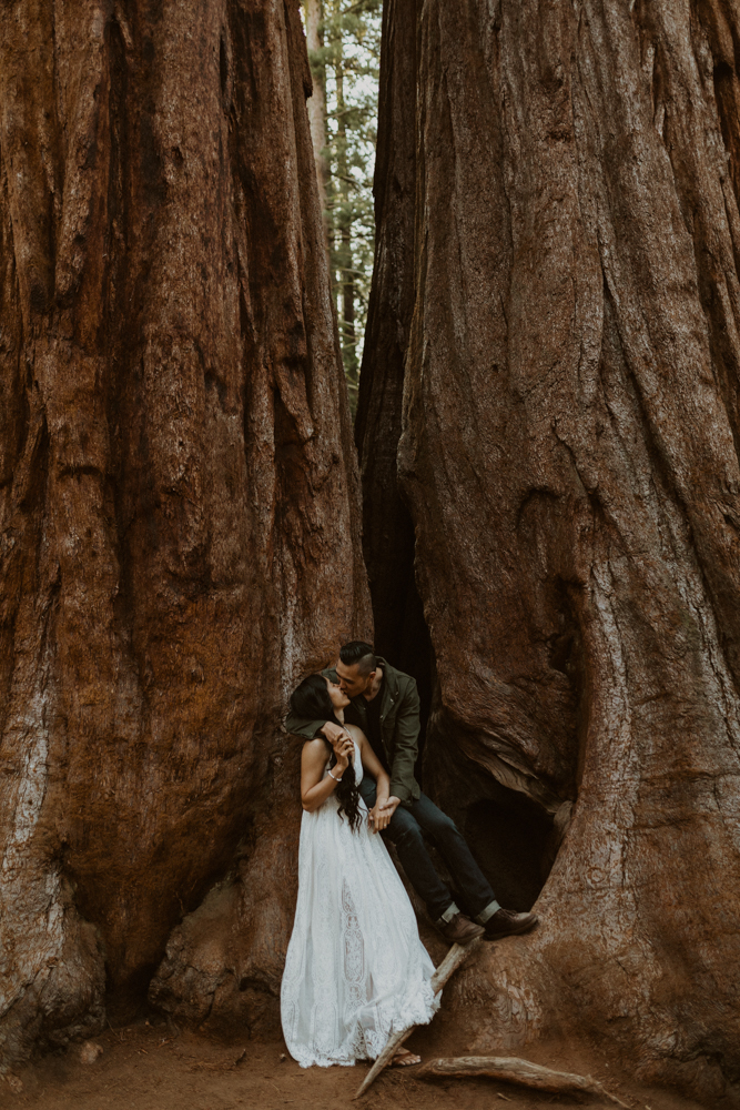 Sequoia National Park photographer