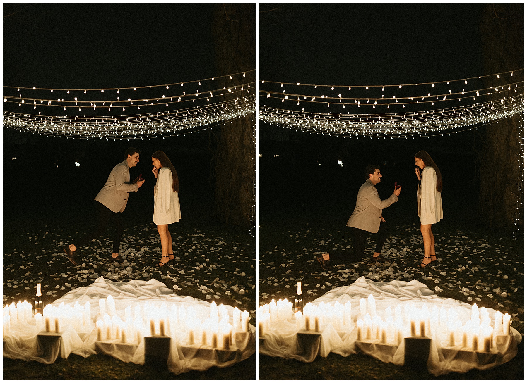 backyard string light proposal