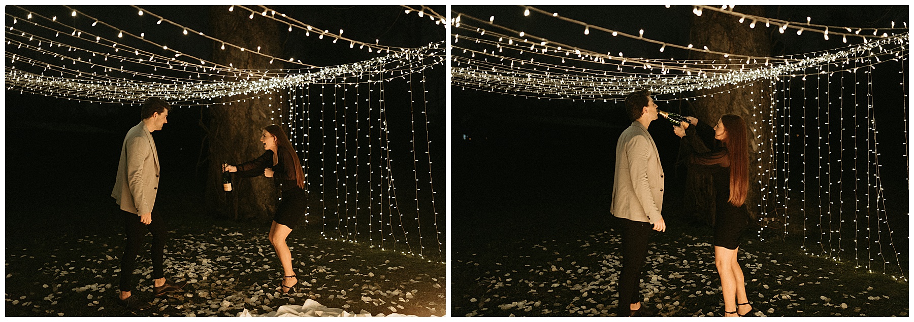 backyard string light proposal