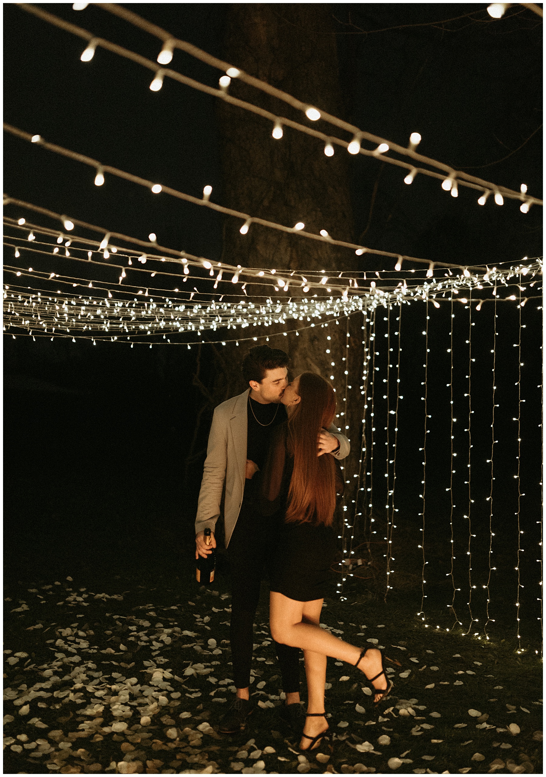 backyard string light proposal